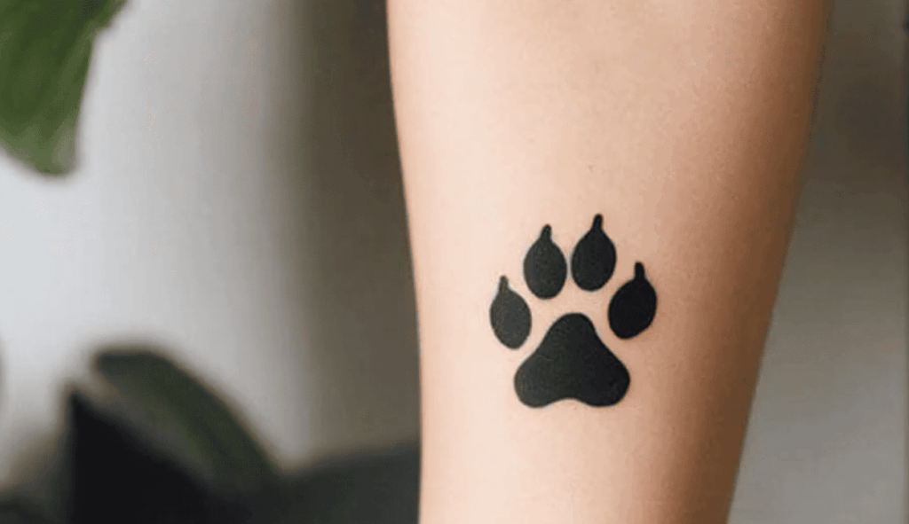 Minimal Tattoo Designs for Quick Touch-Ups